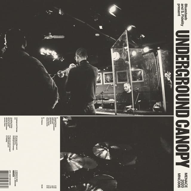 Bluestaeb & S. Fidelity — Underground Canopy